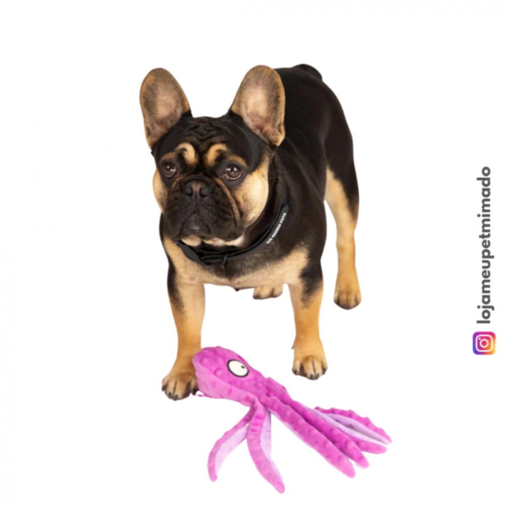 Brinquedo Polvo Amigo Pelucia Anti Stress para Cachorro