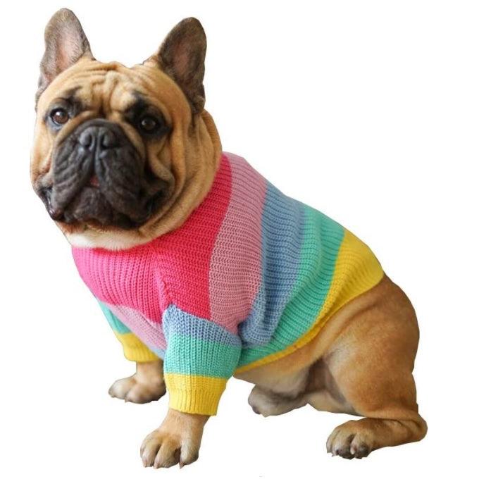 ANJOS PETS - Roupinha para Cachorro Blusão Rainbow
