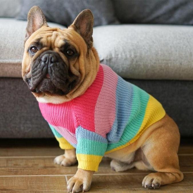 ANJOS PETS - Roupinha para Cachorro Blusão Rainbow