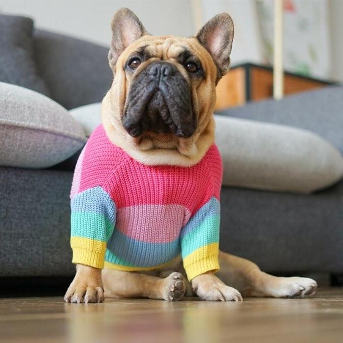ANJOS PETS - Roupinha para Cachorro Blusão Rainbow