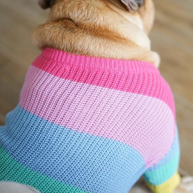 ANJOS PETS - Roupinha para Cachorro Blusão Rainbow