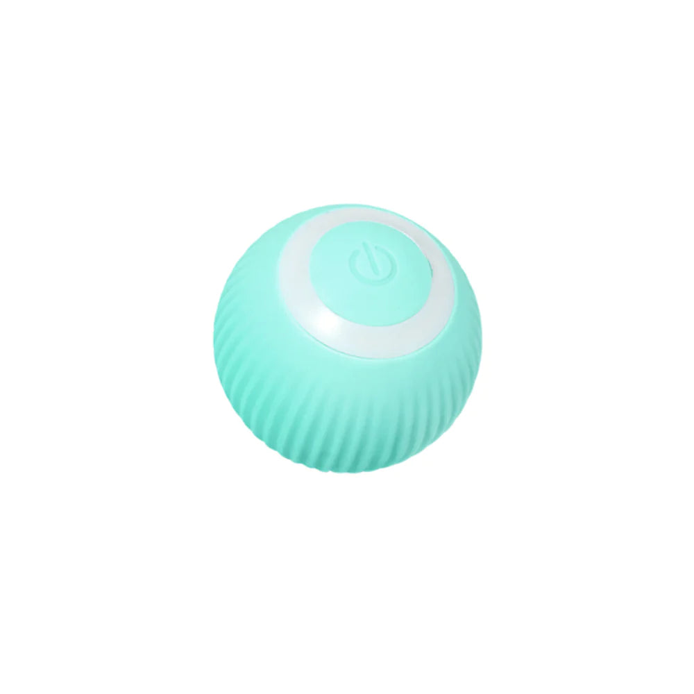 Bolinha Elétrica Automática para Cães e Gatos