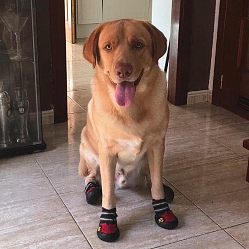 ANJOS PETS Sapato para Cachorro Pet Boots