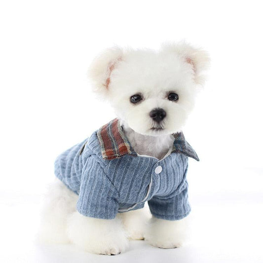ANJOS PETS - Roupinha para Cachorro - Casaquinho com Forro