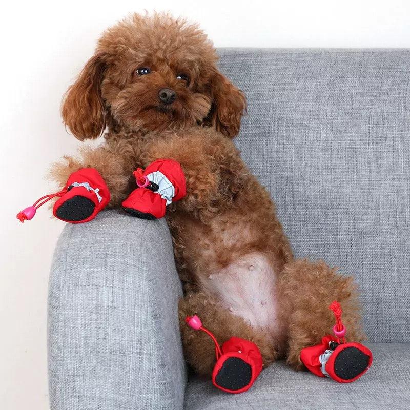 ANJOS PETS - Sapatinho para Cachorro