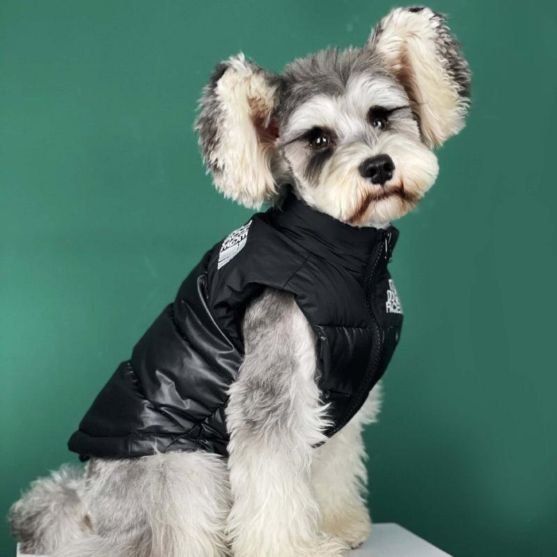 ANJOS PETS - Roupa de frio para Cachorro