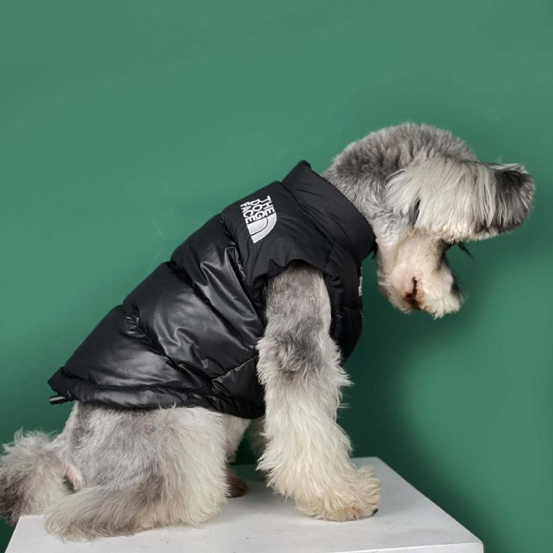 ANJOS PETS - Roupa de frio para Cachorro
