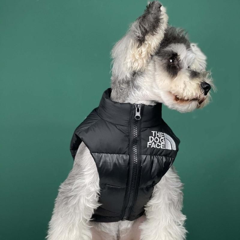 ANJOS PETS - Roupa de frio para Cachorro