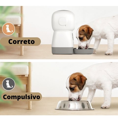 Refil Automático de Ração Inteligente™ | Para Cachorro e Gato