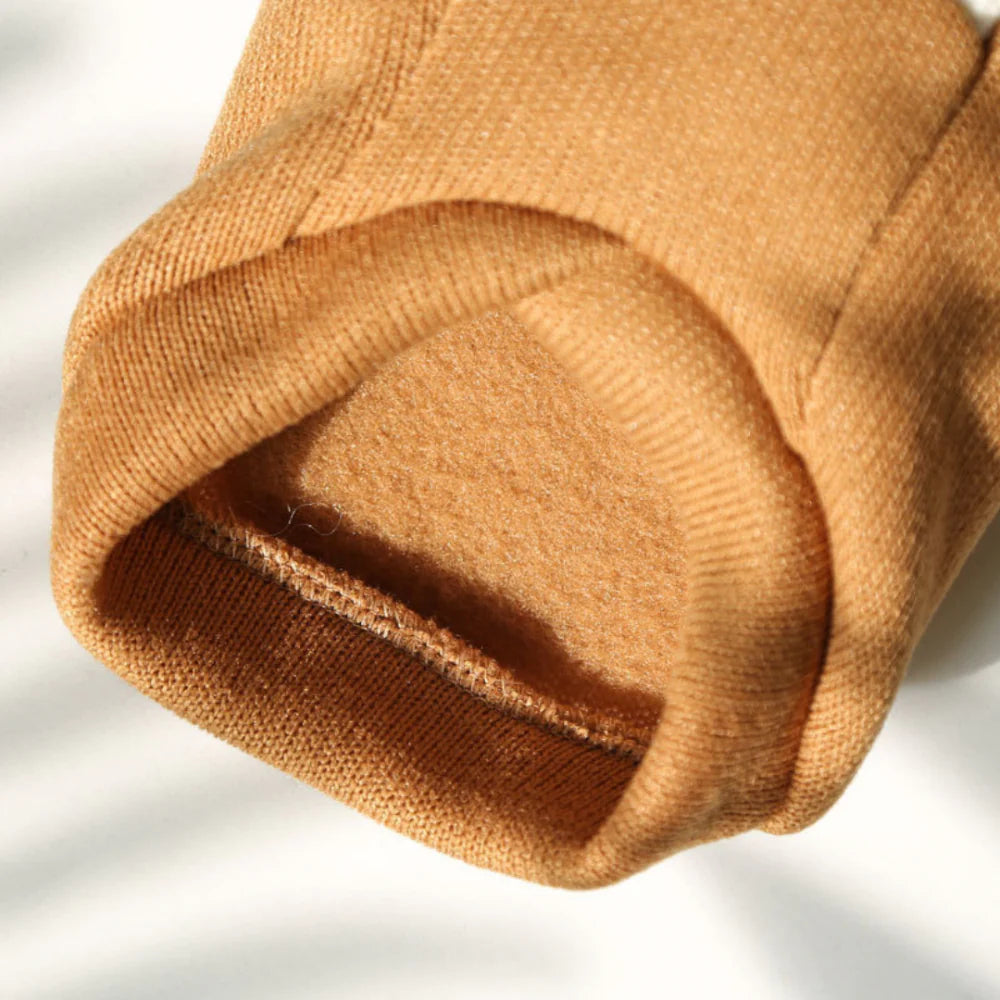 Suéter Tricot Britânico Universitário para Cães