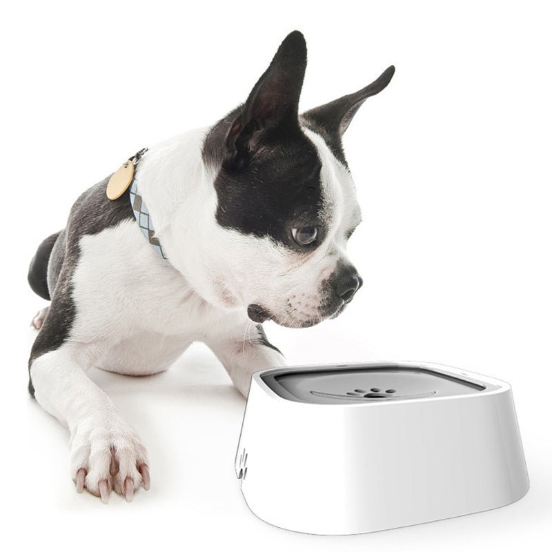Tigela Anti Derramamento Clean Water™ | Para Cachorro e Gato