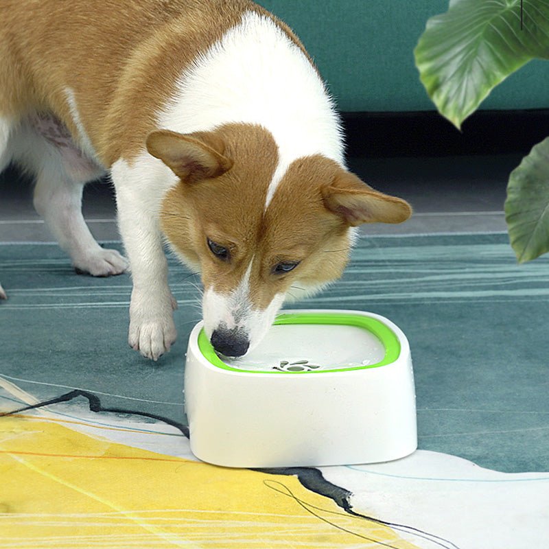 Tigela Anti Derramamento Clean Water™ | Para Cachorro e Gato